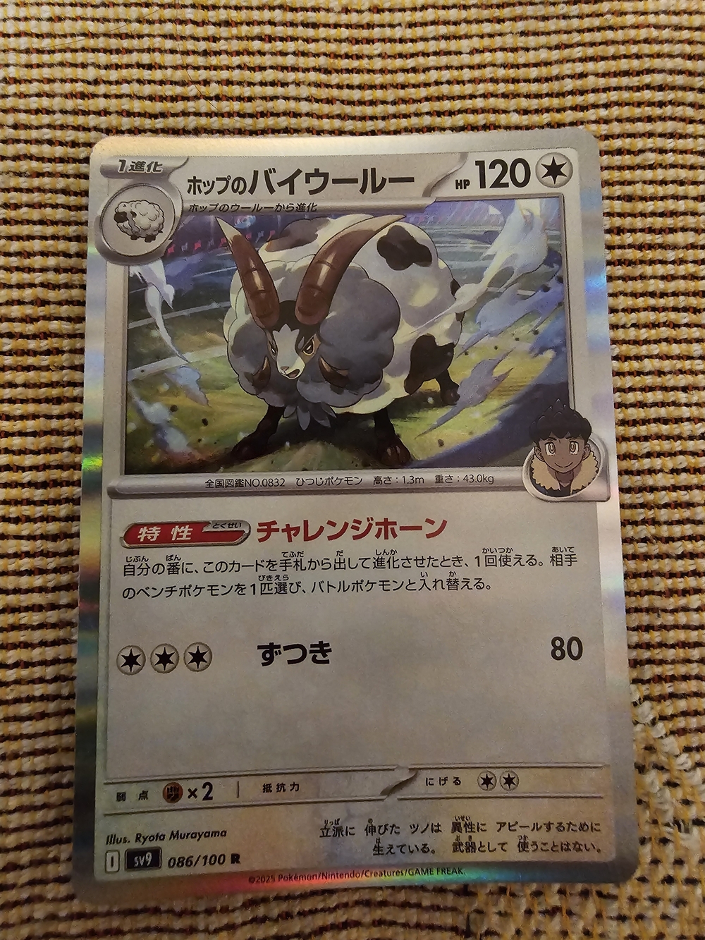 Japanese Pokémon card featuring the character Dubwool